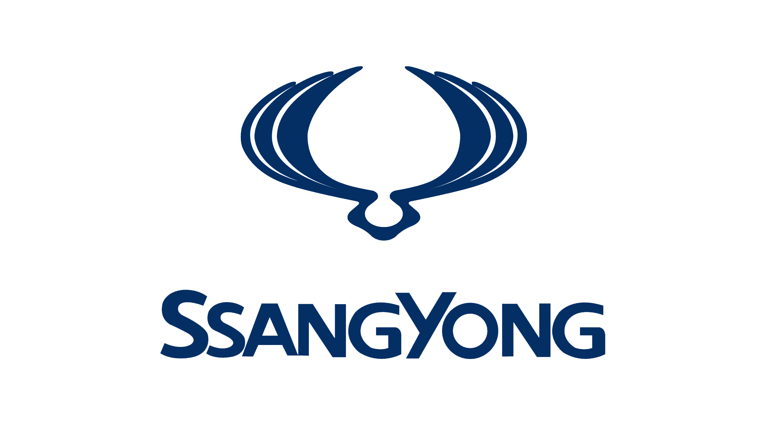 SSANG YONG